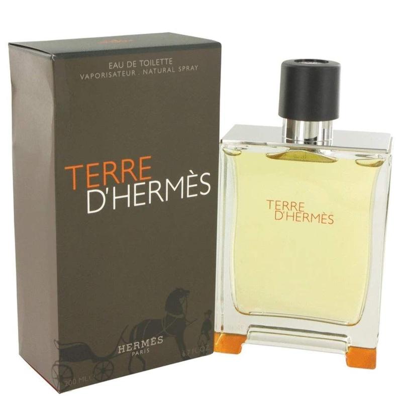 Perfume Terre d'Hermès Masculino - Spray 100ml - Perfume